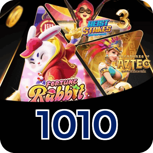 Termos e Condições Transparentes 1010